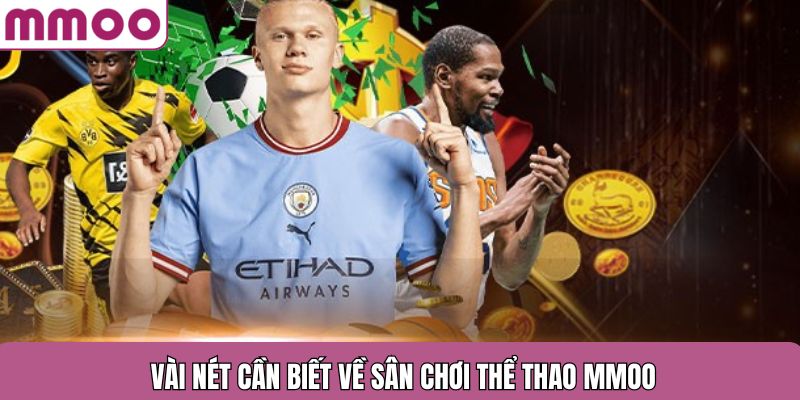 Vài nét cần biết về sân chơi thể thao MMOO
